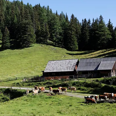 3-ferienwohnung Berghof Hohentauern