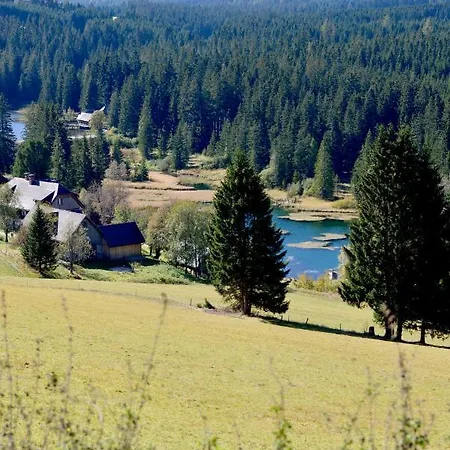 Apartment 3-ferienwohnung Berghof Hohentauern